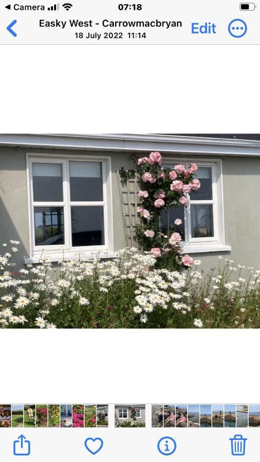 Wild Atlantic View Bed & Breakfast Sligo Exterior photo