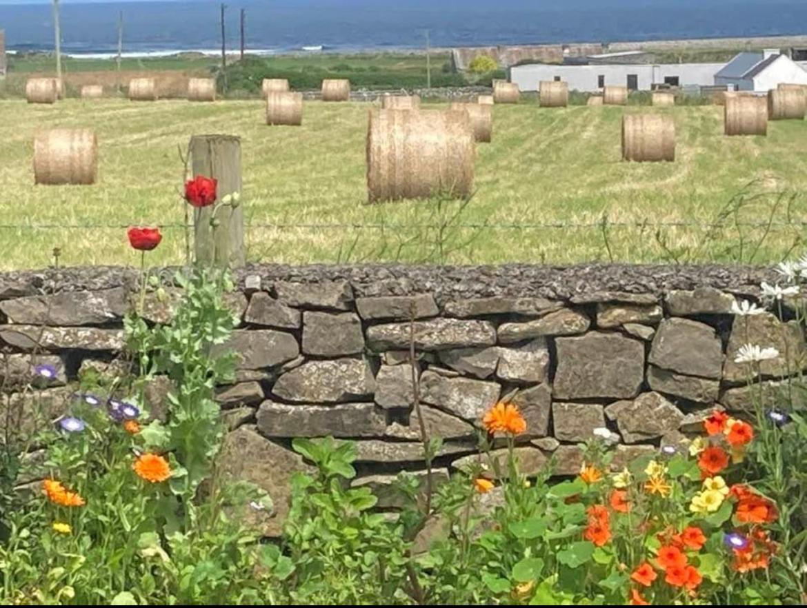 Wild Atlantic View Bed & Breakfast Sligo Exterior photo